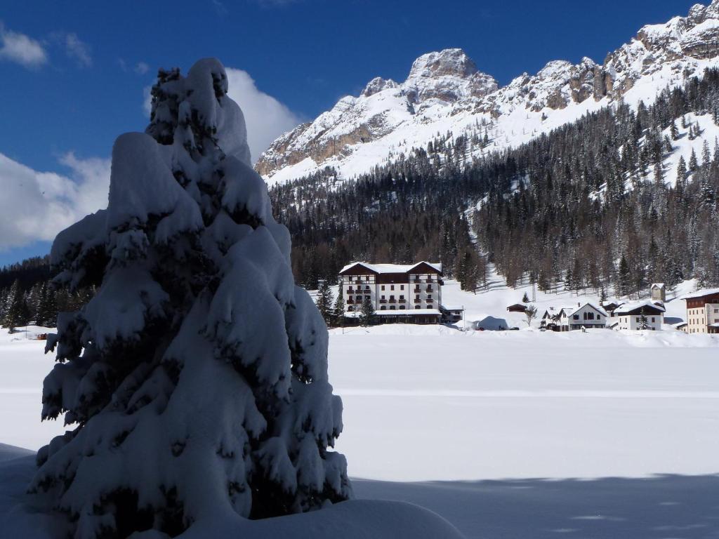 Hotel Lavaredo Misurina Eksteriør bilde
